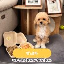 멍's텔라 | 대구수제간식, 멍‘s텔라(멍스텔라) 에서 원데이 수업 들었어요.