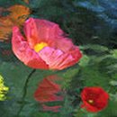 창문가로등 이미지