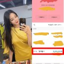 미담애견샵 이미지