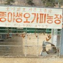 김종문농장 이미지