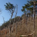 정문마을 이미지