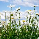 보창한의원 이미지