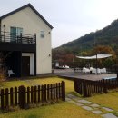 포독스1 이미지