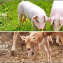 에프앤지시스템 이미지