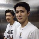 세찬 Daum카페