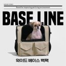 다온펫 | 강아지 가방 '모드니펫' 2XL 사용 후기 애견이동가방추천 닥스훈트 이동가방