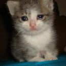 소소농장 이미지