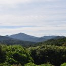 신천리 삼층석탑, 설매리 석조불두, 연흥사 /전남 영광군 이미지