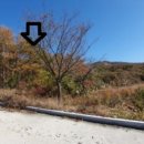 삼산면-8 이미지