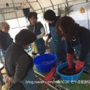 완두콩물들다공방