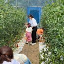 영민농장2 이미지