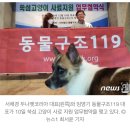 두나펫 코리아 이미지