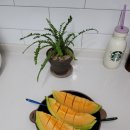 식이네농장 이미지