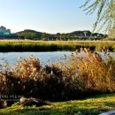 화랑유원지_경기도미술관주변 이미지