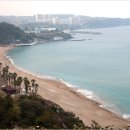 쉬리하우스 이미지