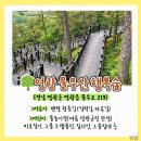 전라남도 유아숲체험원 이미지