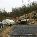 옥주농장 이미지