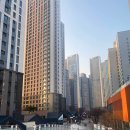 씨티 | 일산 킨텍스 원씨티 근처 산책 후기