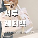 서루 | 강아지 이동가방 서루 레터백 핑크 후기｜사이즈, 가격까지 솔직 리뷰
