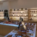 시선 안경콘택트 이미지