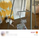 구천슈퍼 | 12개월까지 대근육 발달에 좋은 장난감 [졸리점퍼 슈퍼스탠드] 생생한 솔직후기/효과/장점/단점/구매처