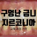 연세돌담치과의원