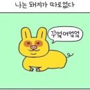 도원보쌈 이미지