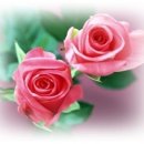 우리들이 보는 세상 이미지