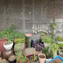 북천식육식당 이미지