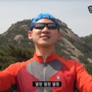 비베터