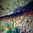 선재마을 이미지