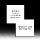 빵빠레투 이미지
