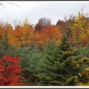 갑을부동산중개 이미지