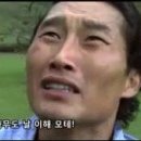 안양애견 이미지