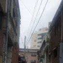 삼호약국 이미지