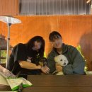 [대구] 반려동물 가능한 감성 독채 펜션🏠 몽슈와 친구들과 함께한 행복한 하루 : 원향 이천점