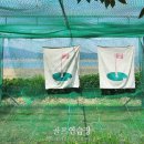 샌드힐 이미지