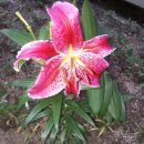 흙이야기 이미지