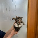 지산2동 치안센터 이미지