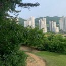 송산팰리스공인중개사사무소 이미지