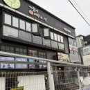 사랑이 머무는 집 | 사모예드 친구들을 만나본 '겨울이 머무는 집' 방문후기❤️