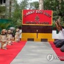 명요가 - 영등포구 당산로40길 16 | 명요가