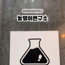 농땡이연구소 이미지