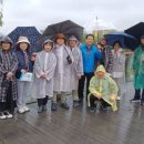 봄시화