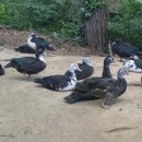 동녁골농장 이미지