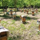 해남군-11 이미지