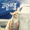 룸케이