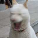 서울강명초등학교 이미지