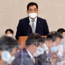 보고식품