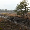 제주 올레길 17코스 이미지